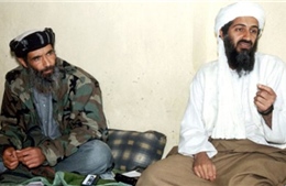 Bí mật bộ sưu tập băng cát xét của Bin Laden 